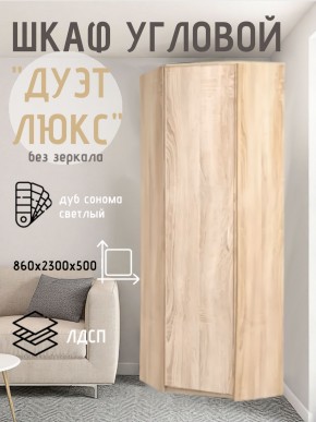 Шкаф угловой Дуэт Люкс без зеркала в Сысерти - sysert.mebel24.online | фото 5