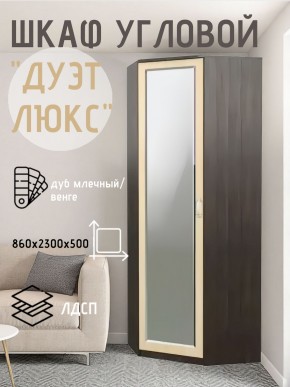 Шкаф угловой Дуэт Люкс с зеркалом в Сысерти - sysert.mebel24.online | фото 5