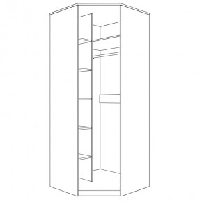 Шкаф угловой (корпус) Парма Нео в Сысерти - sysert.mebel24.online | фото 4