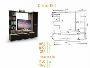 Стенка для гостиной ТВ-1 в Сысерти - sysert.mebel24.online | фото 2