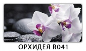 Стол Бриз с фотопечатью Кофе R012 в Сысерти - sysert.mebel24.online | фото 10