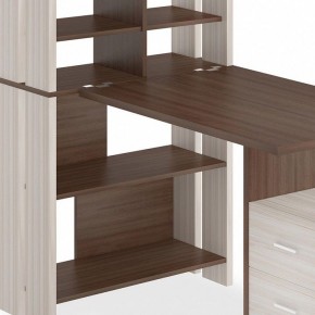 Стол компьютерный Домино Лайт СТЛ-ОВХ+С100Прям в Сысерти - sysert.mebel24.online | фото 3