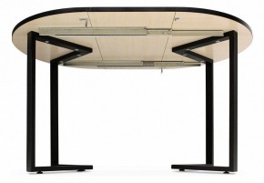 Стол обеденный SHT-T41 в Сысерти - sysert.mebel24.online | фото 5