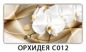 Стол раздвижной Трилогия с фотопечатью Кофе R012 в Сысерти - sysert.mebel24.online | фото 13