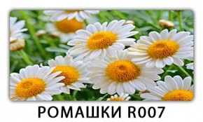 Стол раздвижной Трилогия с фотопечатью Кофе R012 в Сысерти - sysert.mebel24.online | фото 15