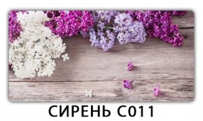 Стол раздвижной Трилогия с фотопечатью Кофе R012 в Сысерти - sysert.mebel24.online | фото 16