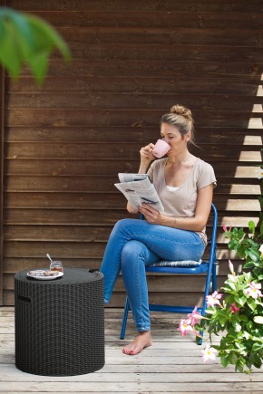 Столик-холодильник Кул-Стул (Cool stool) коричневый в Сысерти - sysert.mebel24.online | фото 2