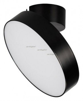 Светильник на штанге Arlight SP-RONDO-FLAP-R210-20W Day4000 (BK, 110 deg) 026453 в Сысерти - sysert.mebel24.online | фото 2