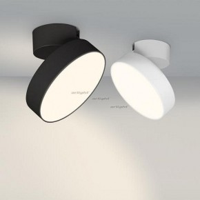 Светильник на штанге Arlight SP-RONDO-FLAP-R210-20W Day4000 (BK, 110 deg) 026453 в Сысерти - sysert.mebel24.online | фото 3