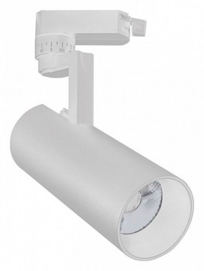 Светильник на штанге Escada 20029 20029TRA/02LED SWH в Сысерти - sysert.mebel24.online | фото