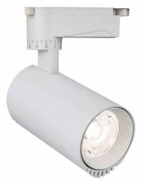 Светильник на штанге Escada 20031 20031TRA/01LED SWH в Сысерти - sysert.mebel24.online | фото