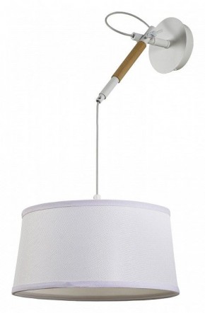 Светильник на штанге F-promo Eureka 3005-1P в Сысерти - sysert.mebel24.online | фото 2