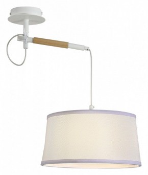 Светильник на штанге F-promo Eureka 3005-1P в Сысерти - sysert.mebel24.online | фото 4