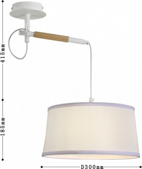 Светильник на штанге F-promo Eureka 3005-1P в Сысерти - sysert.mebel24.online | фото 5
