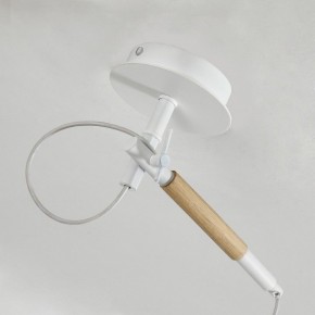 Светильник на штанге F-promo Eureka 3005-1P в Сысерти - sysert.mebel24.online | фото 8