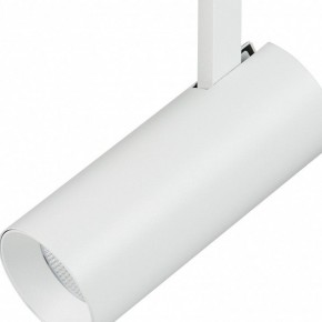 Светильник на штанге Lightstar Fuoco 218226 в Сысерти - sysert.mebel24.online | фото 3