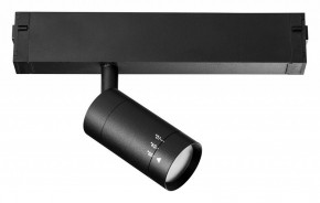 Светильник на штанге Lightstar Teta 205017 в Сысерти - sysert.mebel24.online | фото 2