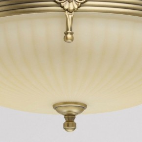 Светильник на штанге MW-Light Афродита 1 317011504 в Сысерти - sysert.mebel24.online | фото 4