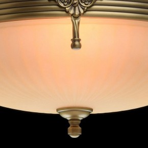 Светильник на штанге MW-Light Афродита 1 317011504 в Сысерти - sysert.mebel24.online | фото 5