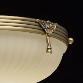 Светильник на штанге MW-Light Афродита 1 317011504 в Сысерти - sysert.mebel24.online | фото 8