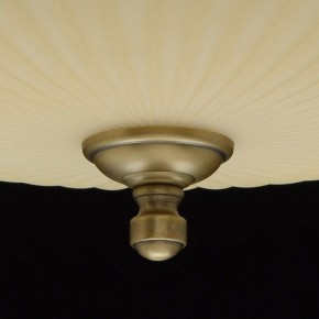 Светильник на штанге MW-Light Афродита 1 317011504 в Сысерти - sysert.mebel24.online | фото 9