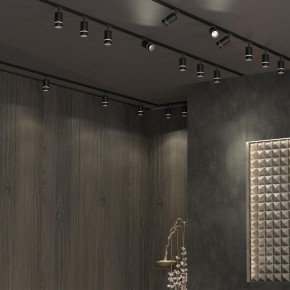 Светильник на штанге Novotech Elina 370777 в Сысерти - sysert.mebel24.online | фото 4