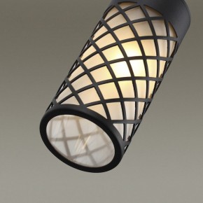 Светильник на штанге Odeon Light Dunes 4834/1W в Сысерти - sysert.mebel24.online | фото 5