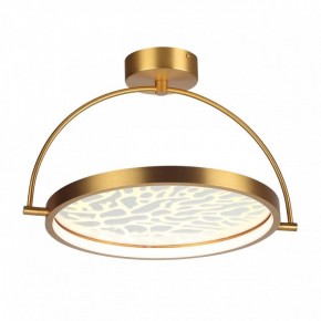 Светильник на штанге Odeon Light Solaris 6627/36CL в Сысерти - sysert.mebel24.online | фото 3