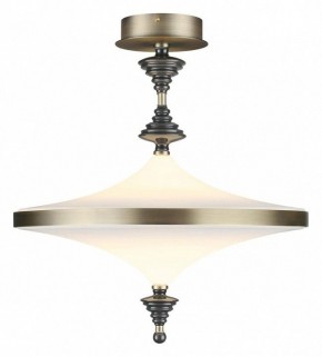 Светильник на штанге Odeon Light Ula 5404/43CL в Сысерти - sysert.mebel24.online | фото 2