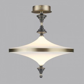 Светильник на штанге Odeon Light Ula 5404/43CL в Сысерти - sysert.mebel24.online | фото 3