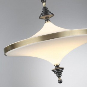Светильник на штанге Odeon Light Ula 5404/43CL в Сысерти - sysert.mebel24.online | фото 6