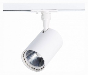Светильник на штанге ST-Luce Cami ST351.536.20.36 в Сысерти - sysert.mebel24.online | фото 3