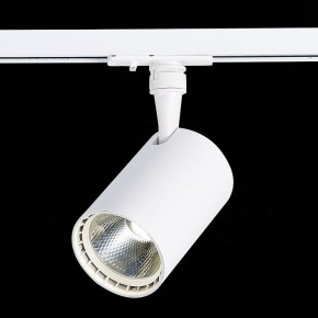 Светильник на штанге ST-Luce Cami ST351.536.20.36 в Сысерти - sysert.mebel24.online | фото 6