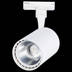 Светильник на штанге ST-Luce Cami ST351.546.15.36 в Сысерти - sysert.mebel24.online | фото 9
