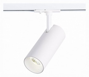 Светильник на штанге ST-Luce Mono ST350.536.20.36 в Сысерти - sysert.mebel24.online | фото 2