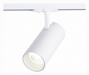 Светильник на штанге ST-Luce Mono ST350.536.30.36 в Сысерти - sysert.mebel24.online | фото 2