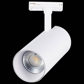 Светильник на штанге ST-Luce Mono ST350.536.30.36 в Сысерти - sysert.mebel24.online | фото 6