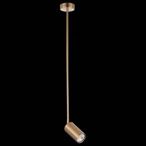 Светильник на штанге ST-Luce Sormano SL1206.303.01 в Сысерти - sysert.mebel24.online | фото 4