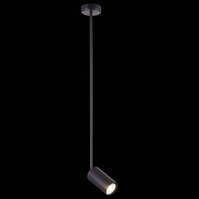 Светильник на штанге ST-Luce Sormano SL1206.403.01 в Сысерти - sysert.mebel24.online | фото 3