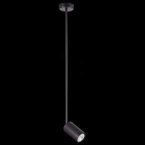Светильник на штанге ST-Luce Sormano SL1206.403.01 в Сысерти - sysert.mebel24.online | фото 4