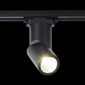 Светильник на штанге ST-Luce ST650 ST650.436.10 в Сысерти - sysert.mebel24.online | фото 3