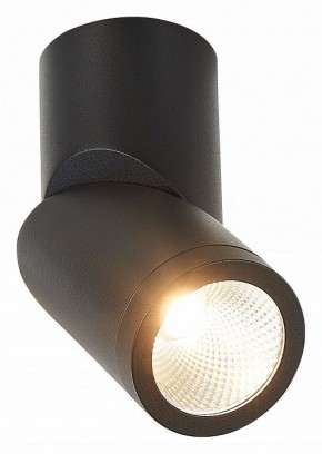 Светильник на штанге ST-Luce ST650 ST650.442.10 в Сысерти - sysert.mebel24.online | фото 2