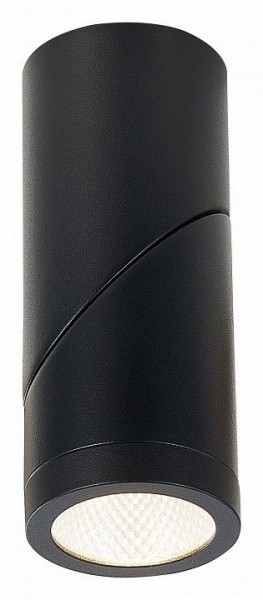 Светильник на штанге ST-Luce ST650 ST650.442.10 в Сысерти - sysert.mebel24.online | фото 3