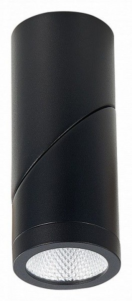Светильник на штанге ST-Luce ST650 ST650.442.10 в Сысерти - sysert.mebel24.online | фото 4