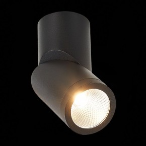 Светильник на штанге ST-Luce ST650 ST650.442.10 в Сысерти - sysert.mebel24.online | фото 5