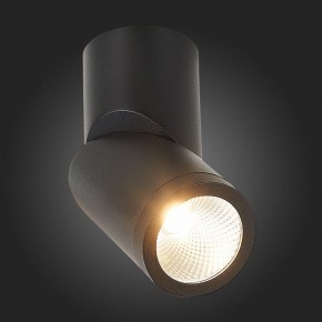 Светильник на штанге ST-Luce ST650 ST650.442.10 в Сысерти - sysert.mebel24.online | фото 6