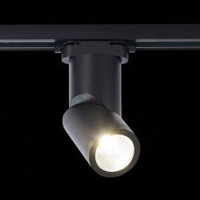 Светильник на штанге ST-Luce ST650 ST650.446.10 в Сысерти - sysert.mebel24.online | фото 2