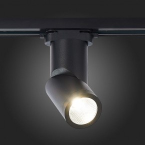 Светильник на штанге ST-Luce ST650 ST650.446.10 в Сысерти - sysert.mebel24.online | фото 4