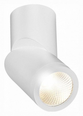 Светильник на штанге ST-Luce ST650 ST650.532.10 в Сысерти - sysert.mebel24.online | фото 3