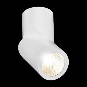 Светильник на штанге ST-Luce ST650 ST650.532.10 в Сысерти - sysert.mebel24.online | фото 5